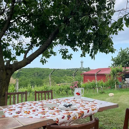 Počitniška hiša Cosy Country Home, *