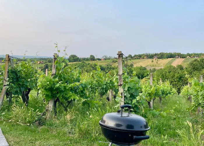 Cosy Country Home, 別荘 *