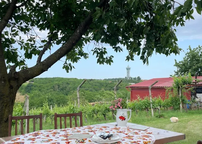 別荘 Cosy Country Home, *