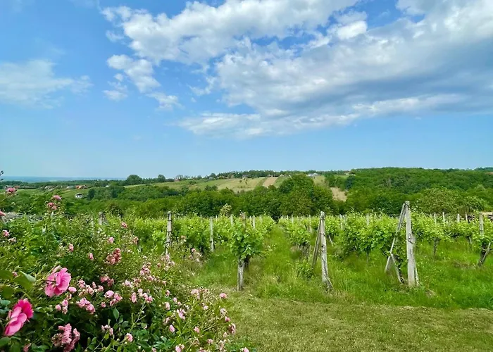 Cosy Country Home, * レンダヴァ